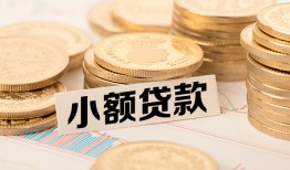 东莞生意空放-东莞生意个人短借-东莞生意身份证小额贷款
