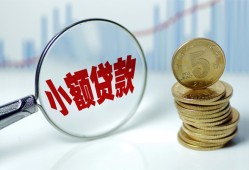 东莞生意哪里可以小额贷款-东莞生意哪里有民间借贷-东莞生意民间短期私借借款