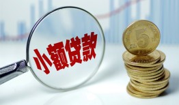 东莞生意哪里可以小额贷款-东莞生意哪里有民间借贷-东莞生意民间短期私借借款